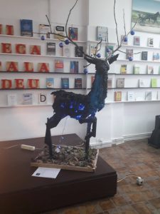 24115350_910770372412915_2022219304_o