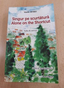 44253969_330833134139876_4282122689495171072_n