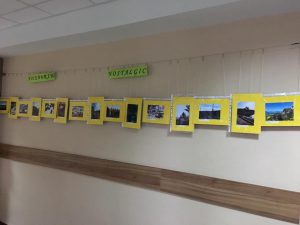 46342193_763959190611309_322351889863671808_n